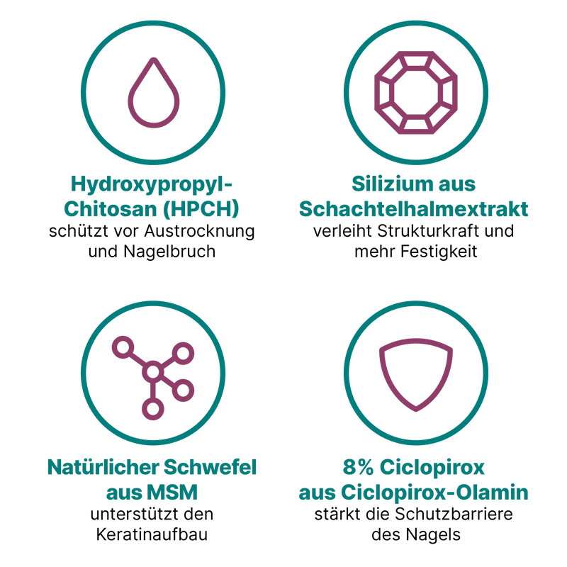 Grafik, die vier Inhaltsstoffe zur Stärkung brüchiger Nägel zeigt. Sie erklärt die Wirkung von HPCH, Silizium, MSM und Ciclopirox in kurzen, leicht verständlichen Texten. Alle dargestellten Wirkstoffe sind im Nagelserum von CT enthalten.