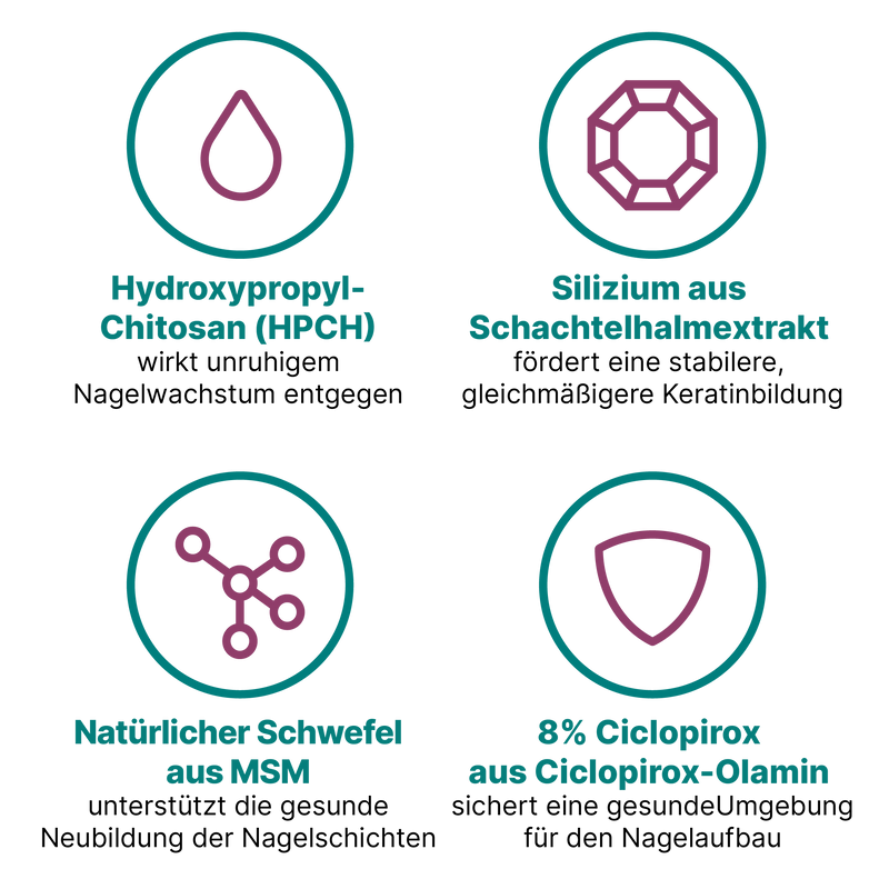 Grafik, die vier Inhaltsstoffe zeigt, die zur Verbesserung von Nageldellen beitragen können. Sie erklärt die Wirkung von HPCH, Silizium, MSM und Ciclopirox in kurzen, leicht verständlichen Texten. Alle dargestellten Inhaltsstoffe sind im Nagelserum von CT enthalten.