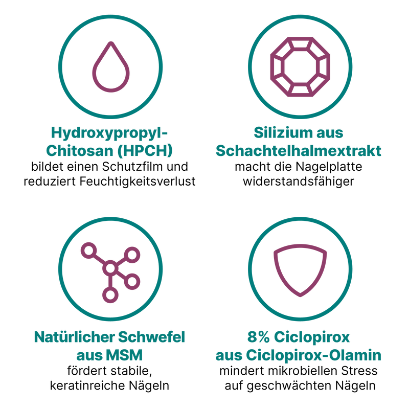 Grafik, die vier Wirkstoffe zur Stärkung dünner Nägel nach Kunstnägeln und häufiger Nail Art zeigt. Sie erklärt die Wirkung von HPCH, Silizium, MSM und Ciclopirox in kurzen, klaren Texten. Alle dargestellten Inhaltsstoffe sind im Nagelserum von CT enthalten.