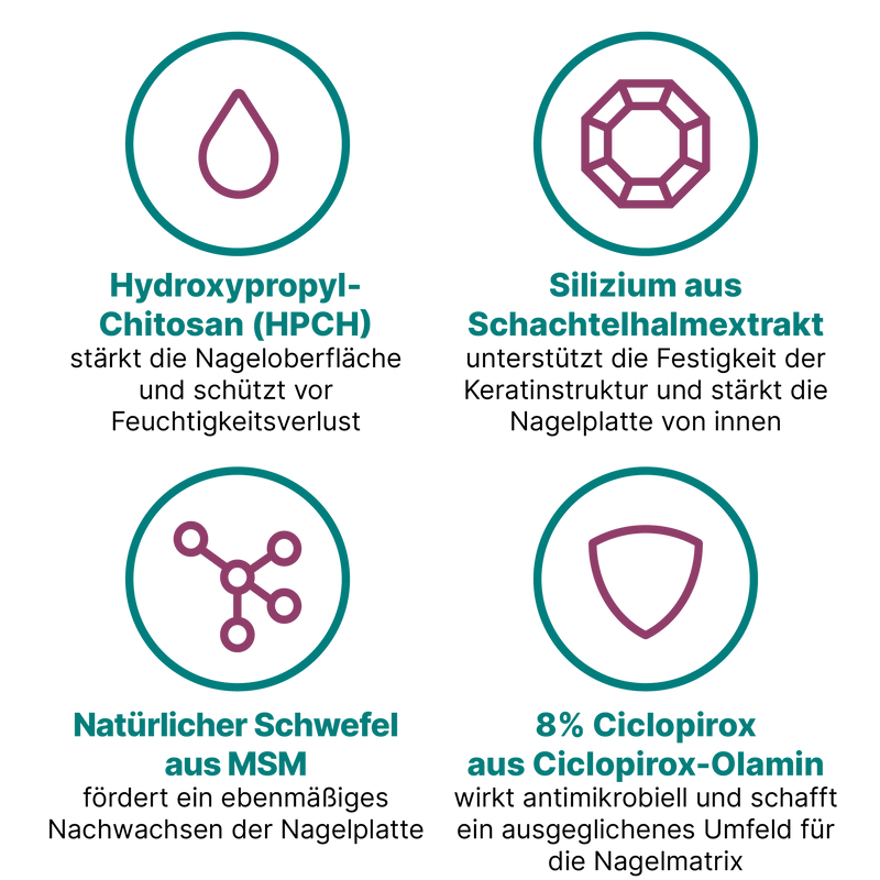 Grafik mit vier Wirkstoffen zur Behandlung und Pflege von Nägeln mit Rillen. Dargestellt sind HPCH zur Stärkung der Nageloberfläche, Silizium für eine gleichmäßigere Keratinstruktur, MSM zur Unterstützung stabiler Keratinverbindungen und Ciclopirox mit antimikrobieller Wirkung für ein ausgeglicheneres Nagelwachstum. Alle dargestellten Inhaltsstoffe sind im Nagelserum von CT enthalten.
