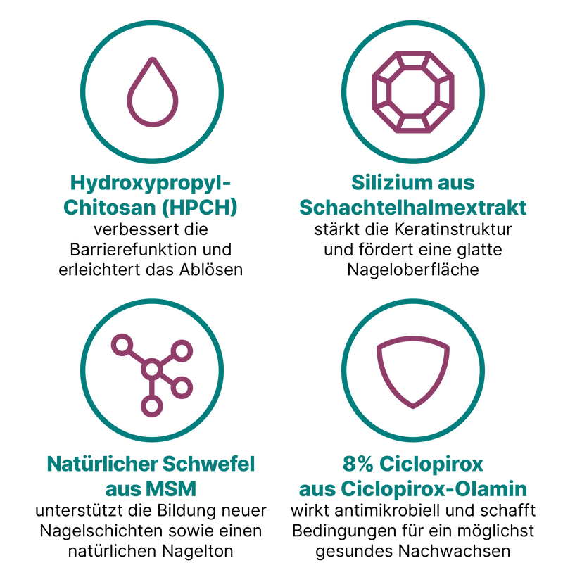 Grafik mit vier Nagelpflege Komponenten zur Verbesserung des Erscheinungsbilds verfärbter Nägel. Dargestellt sind HPCH zur Stabilisierung der Nageloberfläche, Silizium für eine gleichmäßigere Keratinstruktur, MSM für ein harmonischeres Nachwachsen der Nagelplatte und Ciclopirox mit antimikrobieller Wirkung für ein ausgeglichenes Umfeld beim Nachwachsen. Alle dargestellten Inhaltsstoffe sind im Nagelserum von CT enthalten.